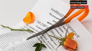 Divorce reason: तलाक के 6 सबसे आम कारण जिस कारण लोगों के रिश्ते नहीं निभते